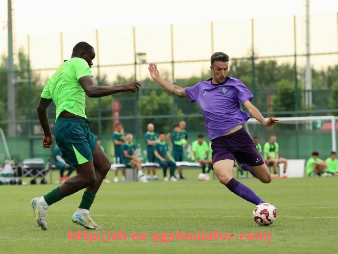 PG电子在线试玩入口-西甲联赛现钱宝:西甲联赛的财政状况与现钱宝