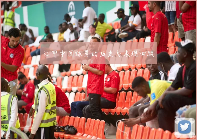 法甲中国球员的历史与表现回顾