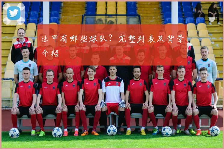 法甲有哪些球队？完整列表及背景介绍
