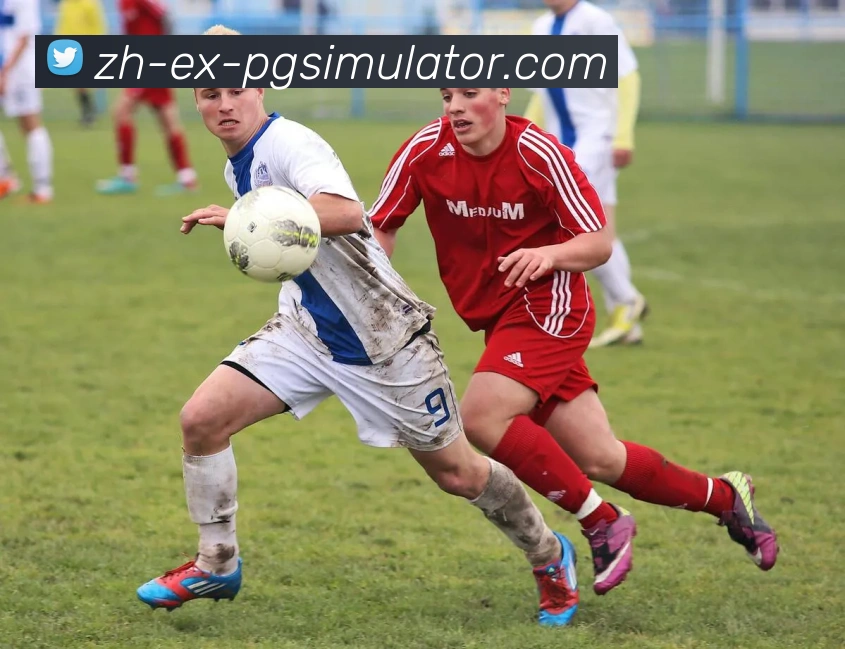 PG模拟器品牌故事